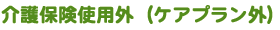 介護保険使用外（ケアプラン外）